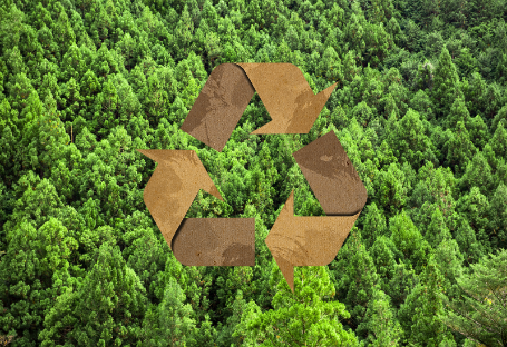 FSC-, EUDR- ja PEFC-opas kertakäyttöisten ateriatarvikkeiden hankintaan